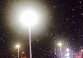 杭州新开的夜总会ktv招聘气氛组专员,(在夜场上班工资怎么样？)